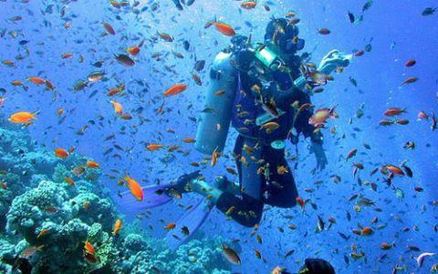 喜报！阿荣旗新时代文明实践所、站获自治区级荣誉